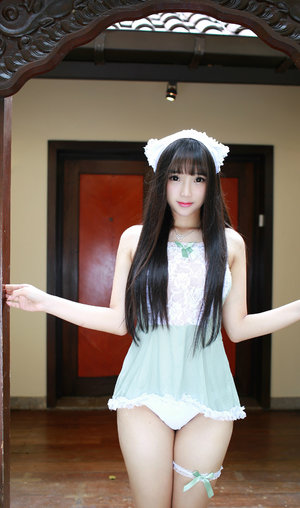 《金花瓶楷梅花5》